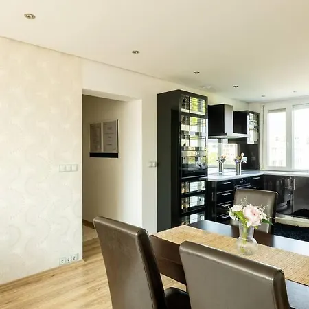 公寓 Martonfalvi Penthouse W Jacuzzi 德布勒森