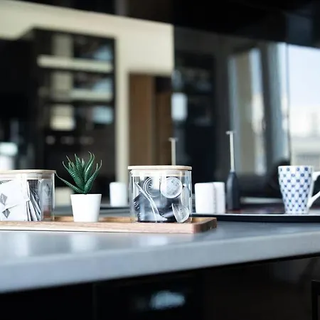Martonfalvi Penthouse W Jacuzzi Debreţin
